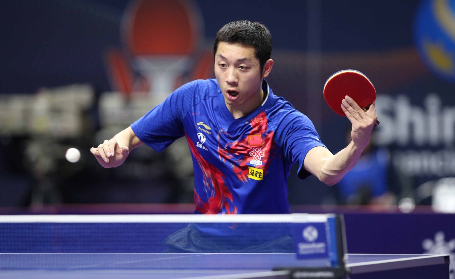 我们共处的 我们共处的